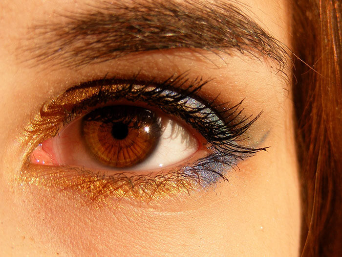 Brown Brown Eyes Iris Gene 46279