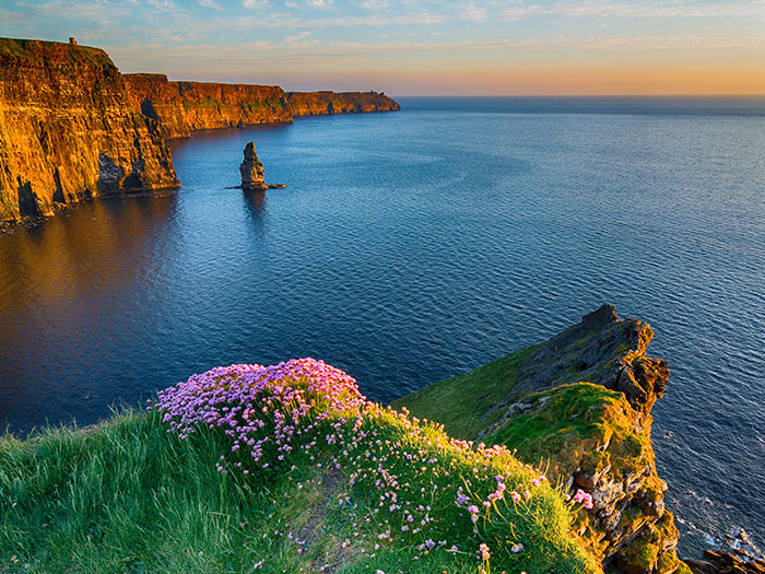 Ireland eCommerce Insights Ireland eCommerce