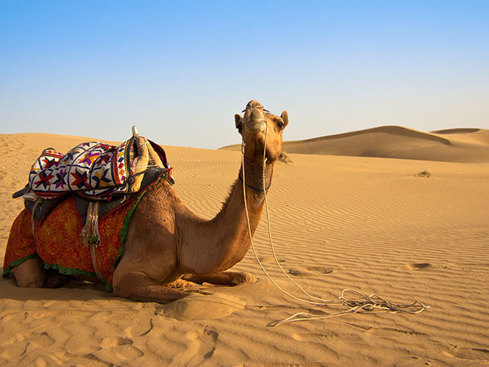 Saudi Arabia eCommerce Insights Saudi Arabia eCommerce